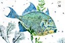 triggerfish