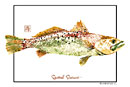 seatrout