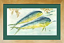 mahi mahi painting