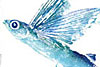 flying fish print
